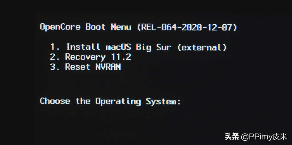 intel NUC9 完美黑苹果Big Sur 11.2保姆级教程