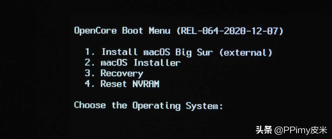 intel NUC9 完美黑苹果Big Sur 11.2保姆级教程