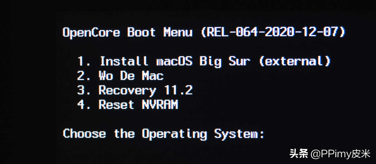 intel NUC9 完美黑苹果Big Sur 11.2保姆级教程