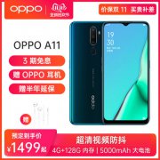 四摄还有强续航评测，OPPO A11的确香