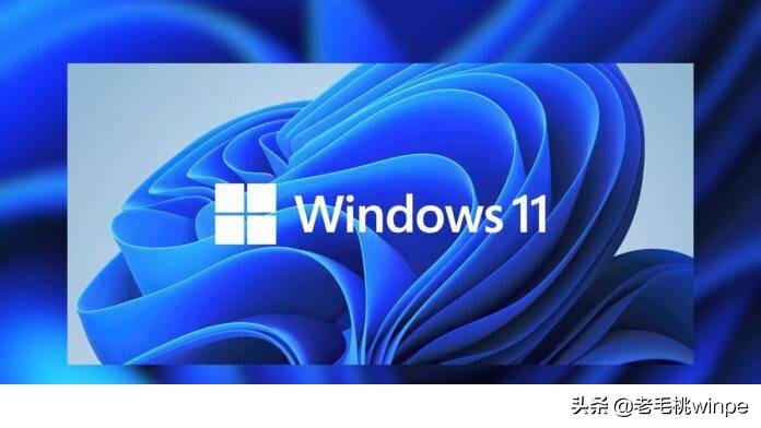 Windows 11值得升级吗？保姆级教程带你一步步体验，赶紧收藏