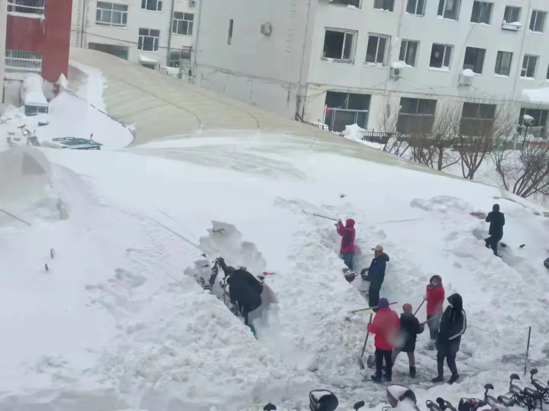 东北、内蒙古多地发生特大暴雪，专家：有可能引发雪灾