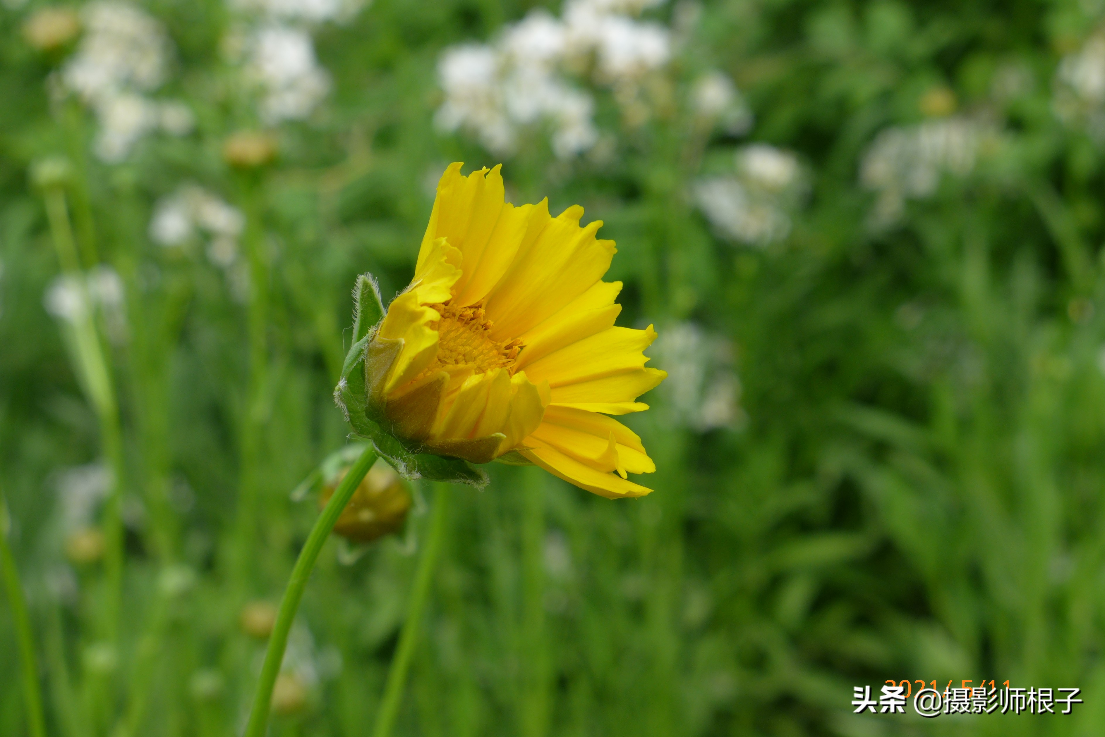 看热闹，一台游戏手机拿来和相机比拍照？来一场不公平的对比