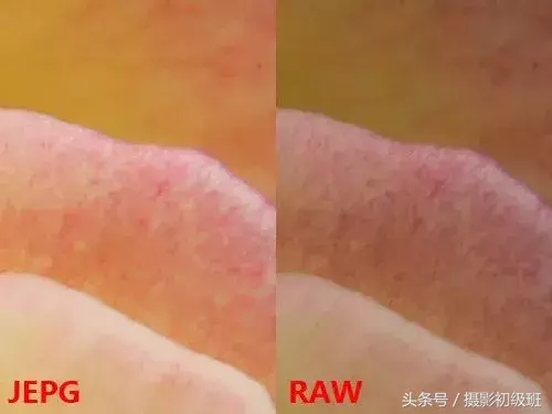 照片选择raw格式还是jpg格式？本文让你不再纠结