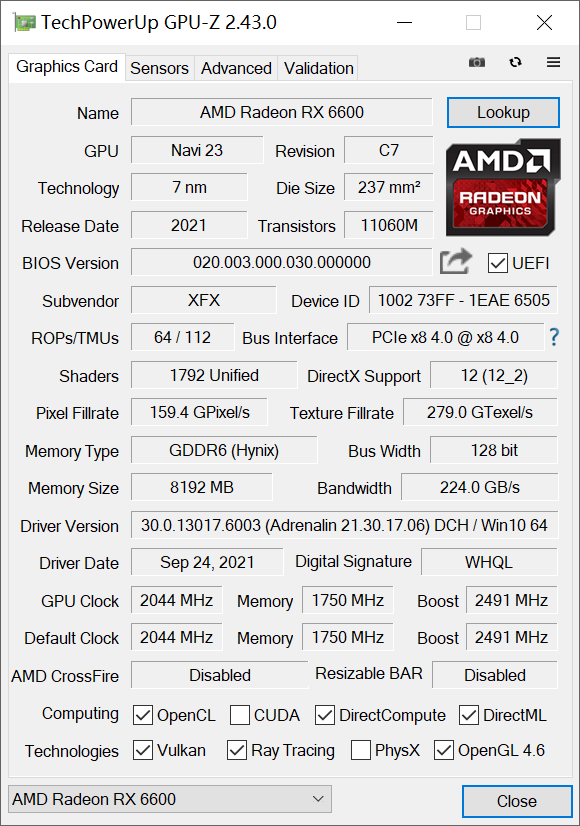 黑狼出击，战力非凡——讯景Radeon RX 6600 8GB黑狼版