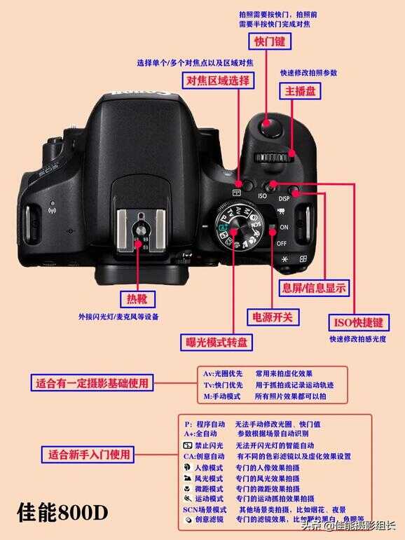 佳能单反零基础教学，让你分分钟变大神