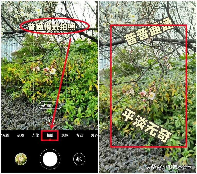 华为手机拍照模糊不清怎样解决？打开这个模式，轻松拍出好照片