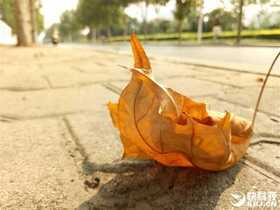 魅蓝U20评测：贵300元值的买吗？