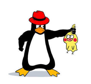 Linux从“白嫖”到精通