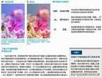 超级详细的单反相机使用教程以及摄影基础知识