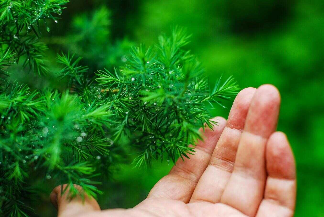ccd真的是没让人失望过，尼康d200宝刀未老！颜色、质感就是好
