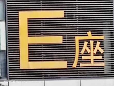 荣耀 Magic4 评测：国产好屏九转功成，全面旗舰更进一步