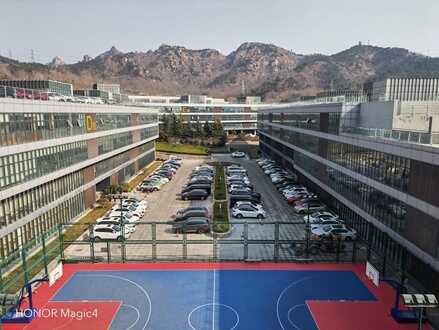荣耀 Magic4 评测：国产好屏九转功成，全面旗舰更进一步
