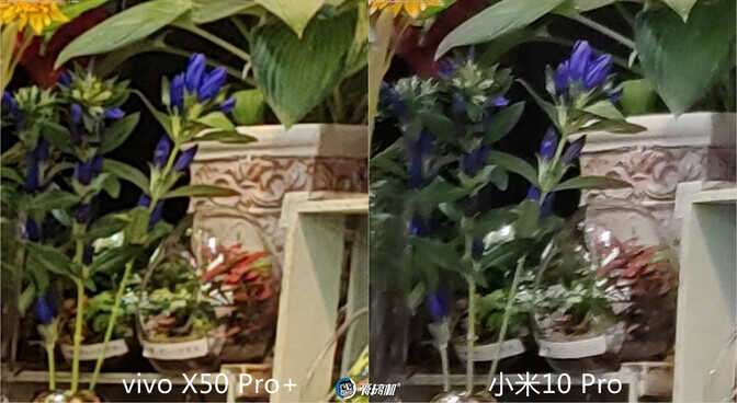 vivo拍照最强音 vivo X50 Pro+详细评测