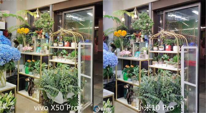 vivo拍照最强音 vivo X50 Pro+详细评测