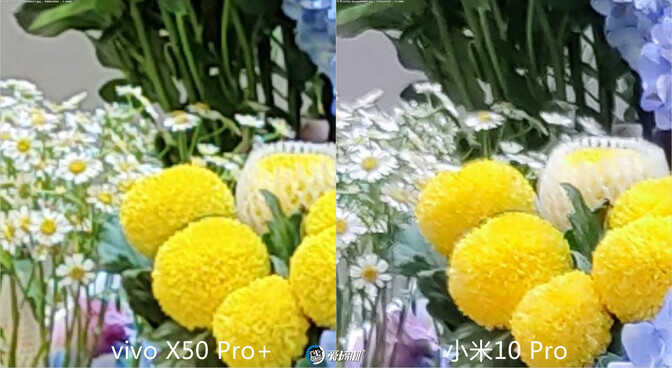vivo拍照最强音 vivo X50 Pro+详细评测