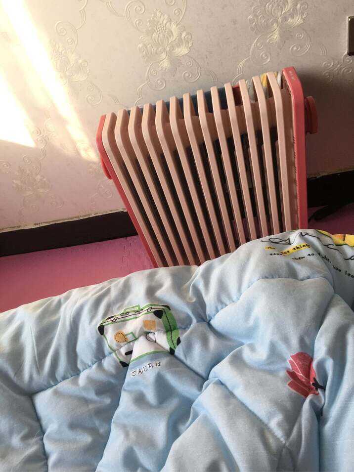 电暖气的选择:暖风机有性价比,油汀有舒适度,小太阳还是算了吧