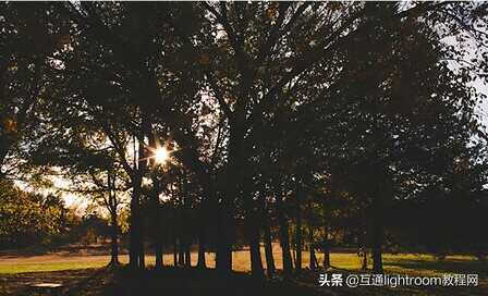 学会这7个技巧，利用光圈参数设置拍出不同类型的好照片