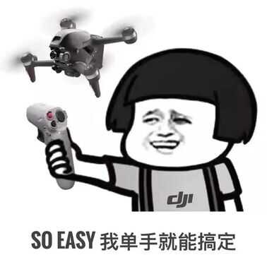 DJI FPV适合你吗？看完这10点你就知道要不要入手了