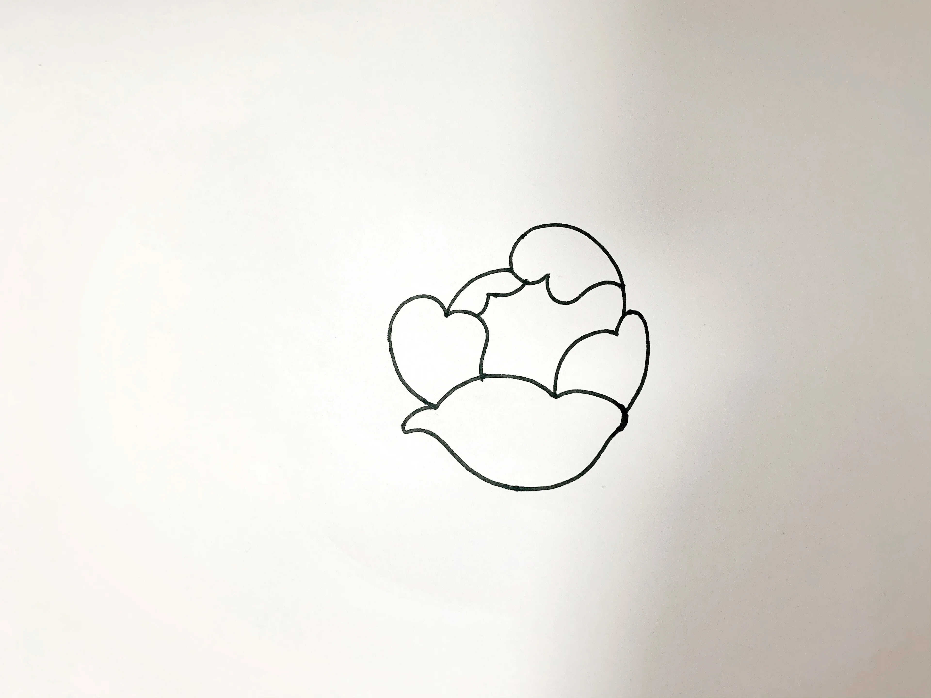 针管笔手绘玫瑰花，6步详细教学，你不来看看？