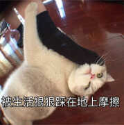 添可洗地机真的好用吗（添可TINECO无线智能洗地机测评）