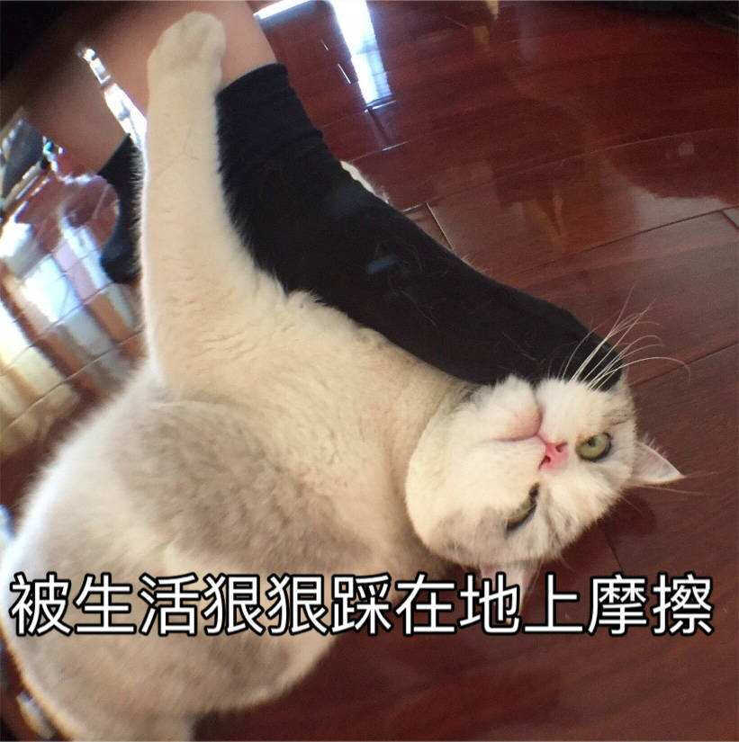 后悔啊~添可TINECO无线智能洗地机芙万2.0使用体验