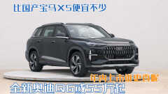 q6奥迪2022款（市55万起售）