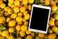 ipadmini2卡顿反应慢怎么办（修复iPad缓慢问题）