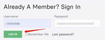 如何注册Avada支持账户并联系Avada支持团队？