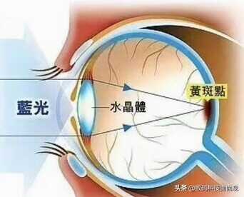 墨水屏手机值得选择吗?优缺点汇总,主打护眼阅读与学习