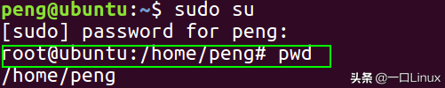 Linux入门的基础知识点汇总，有这篇就够了