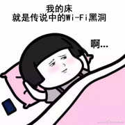 电力猫是什么原理（家家都在用，一定要看好）