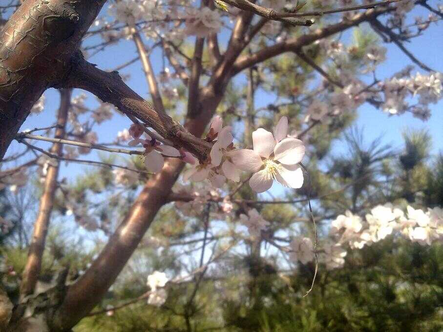 诺基亚N97 mini 一台十一年前的手机 卡尔蔡司加持