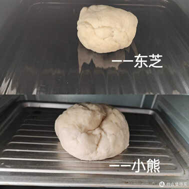 30L以下的烤箱不能买?100元和1000元的小型烤箱有啥区别?