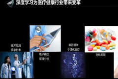 dl是什么意思（带你深度了解dl）