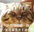 电脑麦克风声音小怎么设置（你知道应该这样操作吗）