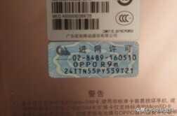 你会撕掉手机背面的进网许可吗?看看大家怎么说