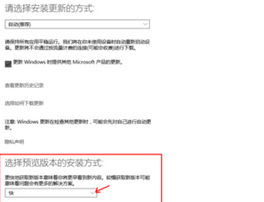 Win10系统怎样快速安装预览版本