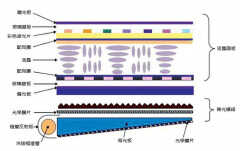 量子点屏幕和oled的区别（oled与led及量子点区别）