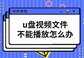 u盘的视频不能播放怎么办（u盘视频文件不能播放解决方法）