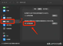 苹果笔记本键盘失灵怎么办（苹果电脑键盘失灵的解决方法）