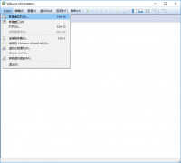 虚拟机怎么安装win10（虚拟机安装Windows 10的教程）