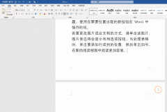 word文档最后一页空白页怎么删除不掉（删除Word最后空白页的教程）