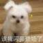 什么聊天软件不收费不充值（免费交友软件推荐）