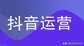 抖音极速版下载赚钱是真的吗（抖音极速版和抖音区别）