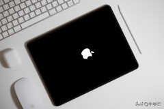 iPad 如何强制关机（iPad 强制关机的方法）