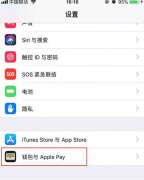 苹果手机有nfc功能吗（苹果手机nfc功能打开方法）