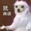 手机突然关机开不了机怎么办（手机黑屏打不开的原因）