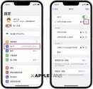 苹果手机怎么分享wifi密码给别人（分享iPhone WiFi 密码的方式）