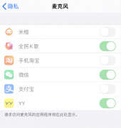 苹果手机麦克风权限空白怎么办（苹果麦克风权限设置空白）